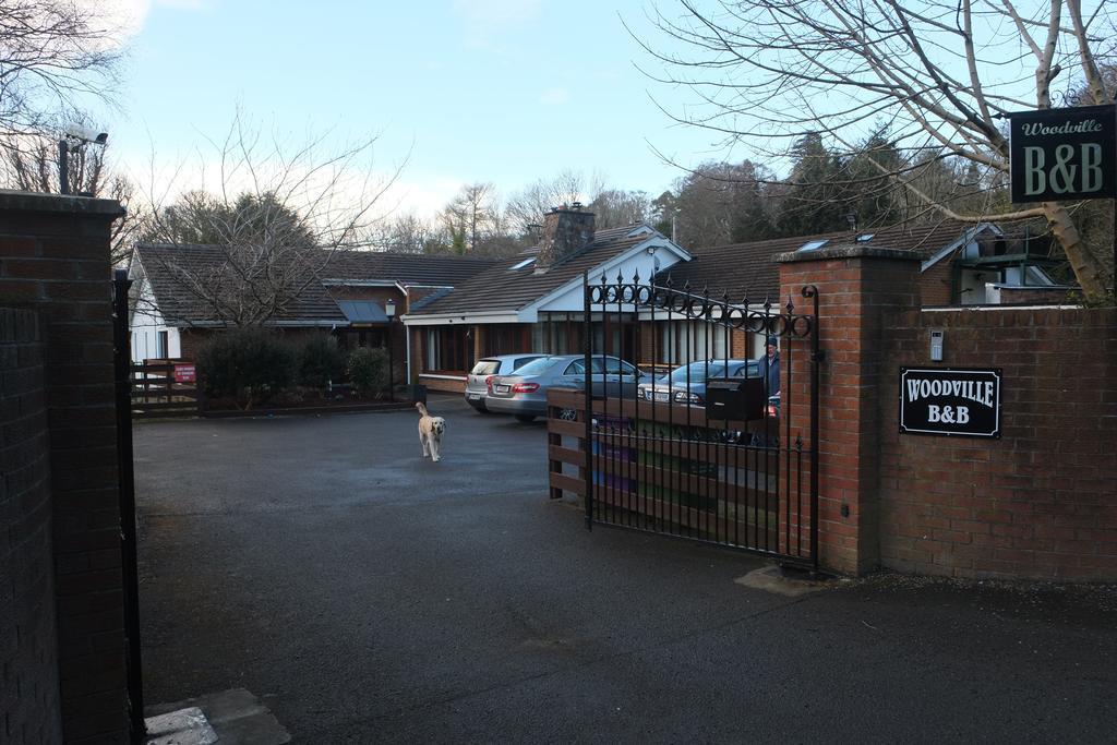 Woodville B&B Bray Exterior foto
